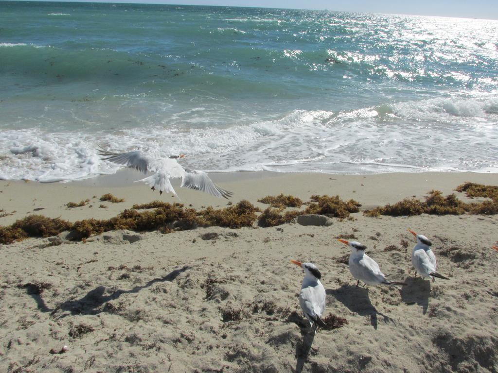 Apartment,388646810:JPEG