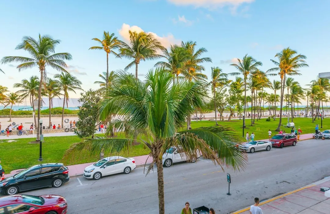 Ocean Drive Suite-1