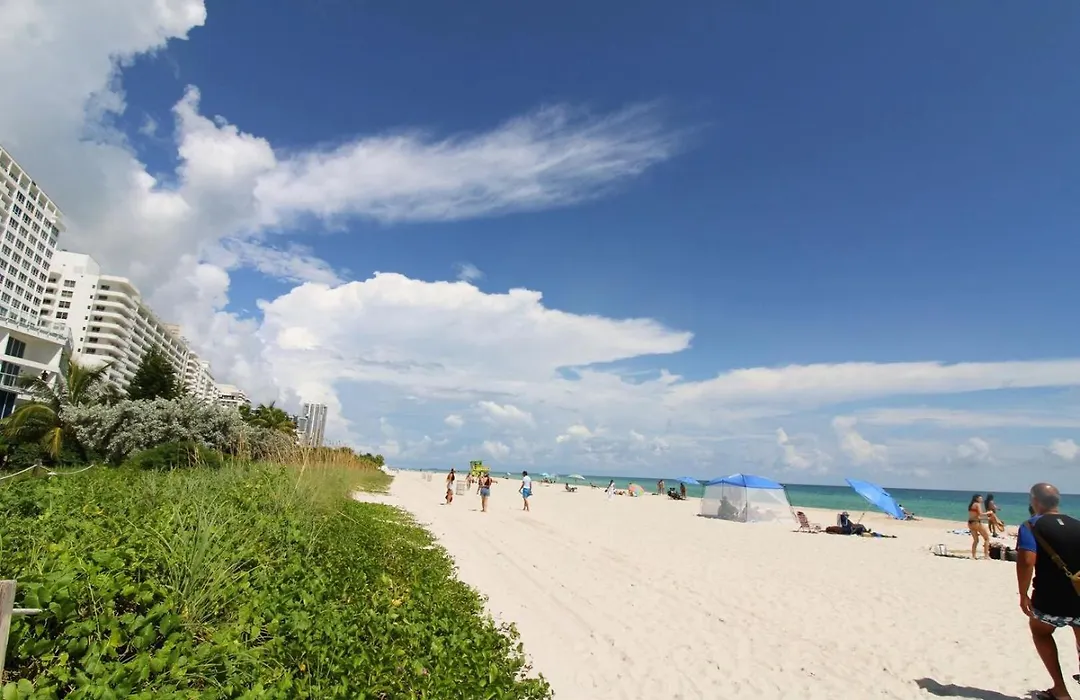 Castle 1131 Oceanfront Condo With Ocean View Beach, Pool, Bar, Tennis, Gym, Free Parking And Gym!-1