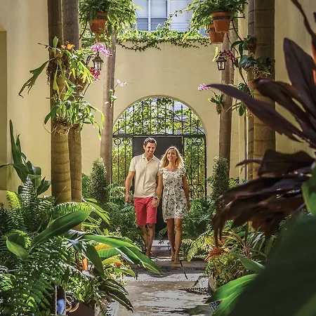 Orchid House-3