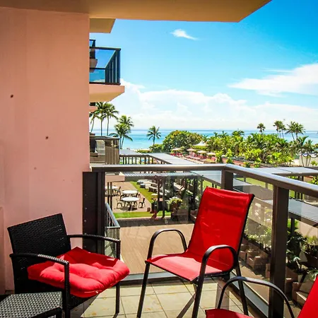 Alexander 511 Beachfront Condo With 2 Pools, Direct Beach Access, Sauna, Tikki Bar-2