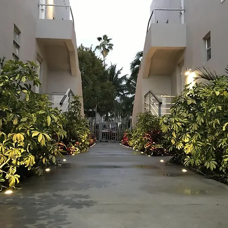 Luxury Miami Beach Apartments By Michigan-3