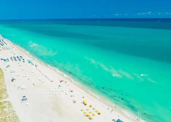 Oceanview Private Condo At 1 Hotel & Homes -904 Miami Beach